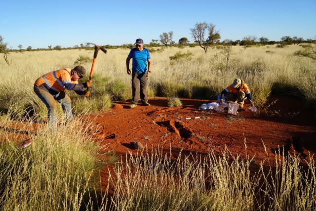 Excavations in a fairy circle in northwestern Australia by three co-authors of two new studies seeking to explain their formation: (l to r) Todd Erickson, Hezi Yizhaq, and Miriam Muñoz-Rojas.